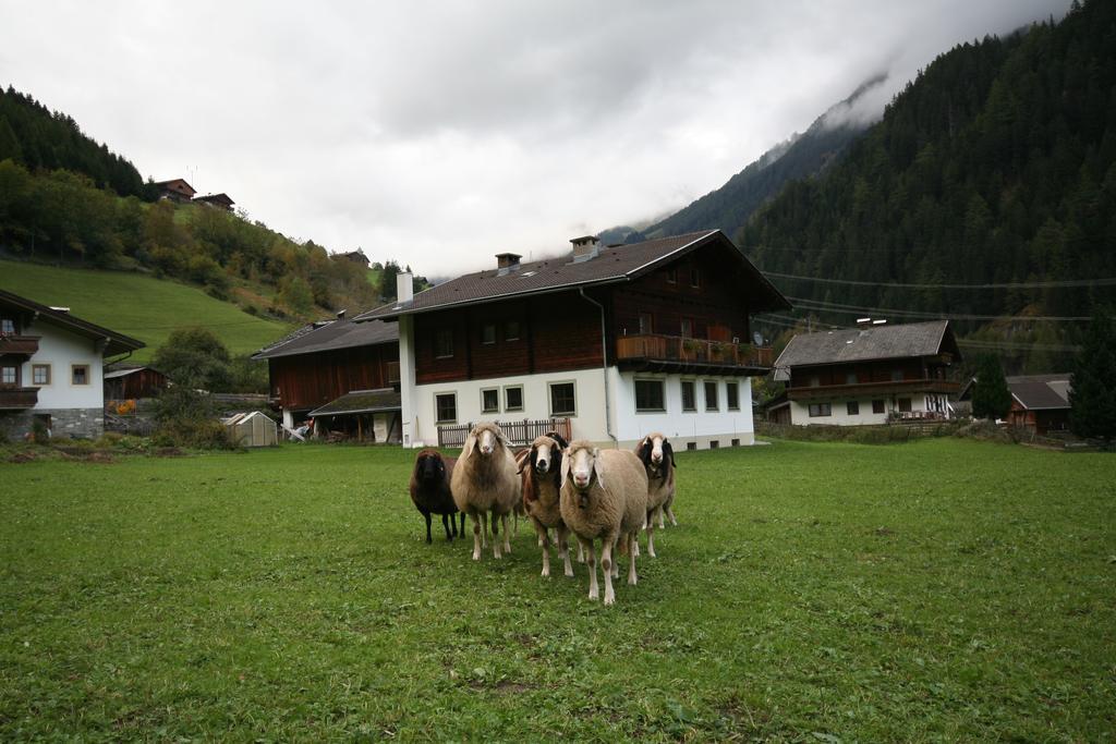 Ferienhaus Ruggenthaler Матрай-ин-Осттироль Экстерьер фото